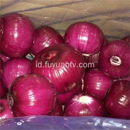 Bawang segar dari weifang